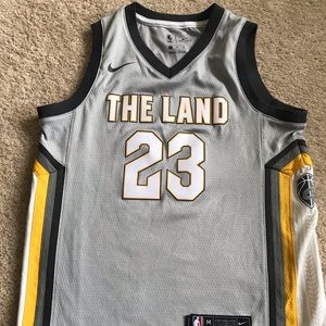 Lebron James The Land Cavaliers jersey